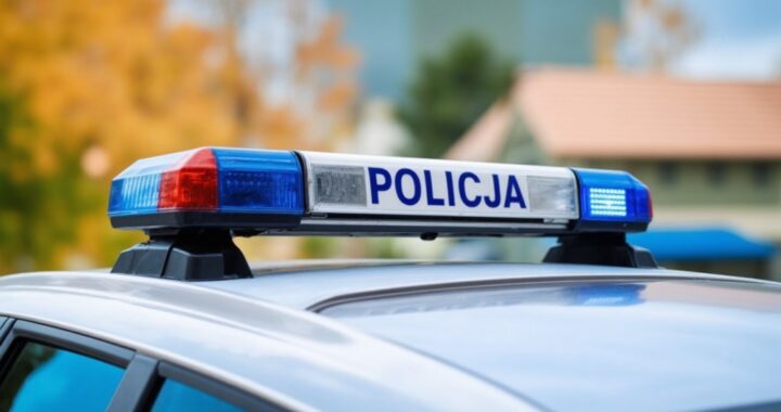 policjanci-prosz---o-pomoc-w-ustaleniu-to--samo--c-auto-6090